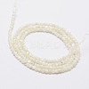 Natural White Shell Beads X-G-N0190-11-2mm-3