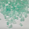 Glass Seed Beads SEED-YW0004-01D-1
