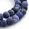 Frosted Natural Sodalite Round Bead Strands G-F231-01-10mm-1