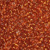 8/0 Glass Seed Beads X2-SEED-A005-3mm-29-2