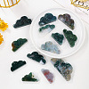 Natural Moss Agate Display Decorations G-PW0004-05-1