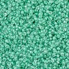 MIYUKI Round Rocailles Beads SEED-JP0008-RR0219-3