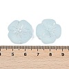 Frosted Transparent Acrylic Beads LS-OACR-P029-19B-06-4