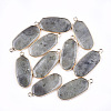 Natural Labradorite Pendants X-G-T112-23A-1