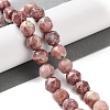 Natural Plum Blossom Jasper Beads Strands G-NH0021-A20-02-1