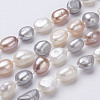 Natural Pearl Beaded Necklaces NJEW-P149-01C-2