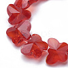 Transparent Glass Beads GLAA-Q066-14mm-B15-3