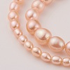 Natural Cultured Freshwater Pearl Graduated Beads Strands PEAR-G007-05B-3
