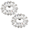 Alloy Rhinestone Shoe Decoration FIND-GF0006-01C-P-1