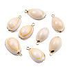 Electroplate Cowrie Shell Pendants SSHEL-S261-11-4