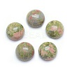 Natural Unakite Cabochons LS-G-P393-R31-10mm-1