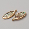 Resin Imitation Abalone Paua Shell Pendants FIND-WH0417-12A-2