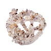 Natural Lodolite Quartz Beads Strands G-H315-A01-01-3
