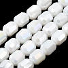 Electroplate Column Glass Beads Strands EGLA-A043-02-M-2