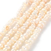 Natural Cultured Freshwater Pearl Beads Strands PEAR-I007-02K-01A-2
