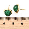 Brass Half Round Stud Earrings EJEW-Z124-03G-5