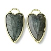 Natural Labradorite Pendants G-O204-02F-1