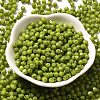 Picasso Baking Paint Glass Seed Beads SEED-A032-02A-07-2