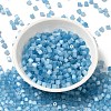 Glass Seed Beads SEED-H002-D-A811-2