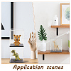 Trasparent Acrylic Toys Action Figures Display Boxs ODIS-WH0038-07A-6