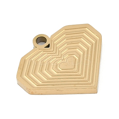 304 Stainless Steel Charms STAS-I325-136E-G-1