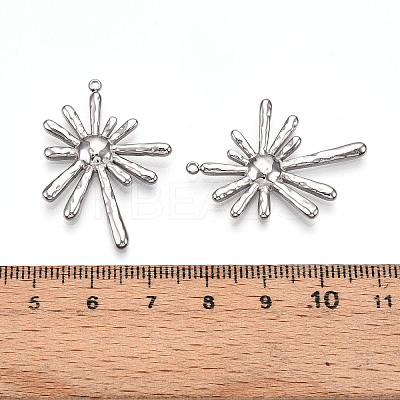 304 Stainless Steel Pendants STAS-T064-62P-1