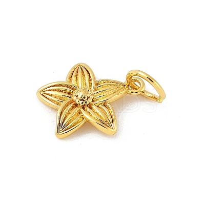 Brass Charms LS-KK-Z107-05G-02-1