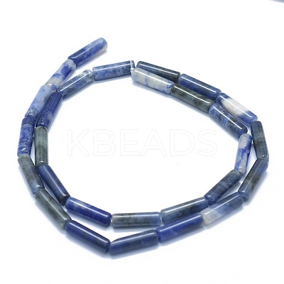 Natural Sodalite Beads Strands G-F631-D16-1