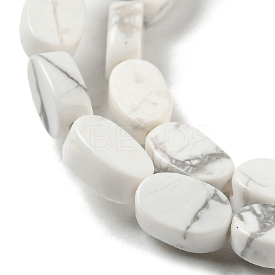 Natural Howlite Beads Strands G-M420-H14-03-1