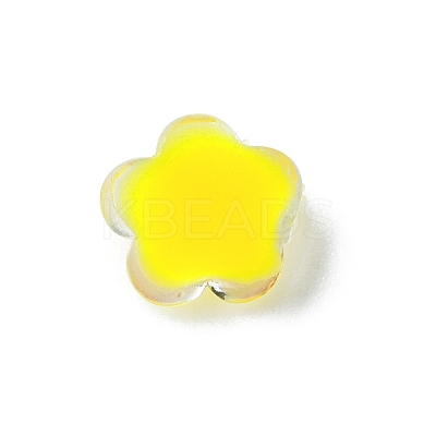 Translucent Resin Cabochons X-RESI-E039-01-1