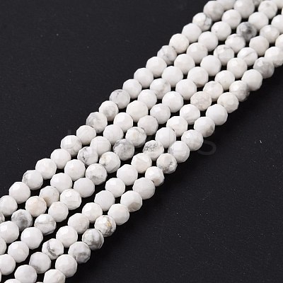 Natural Howlite Beads Strands G-H273-02A-1