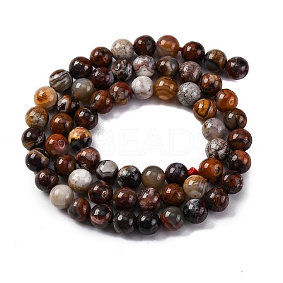 Natural Mexico Crazy Agate Beads Strands X-G-L615-A01-01-1