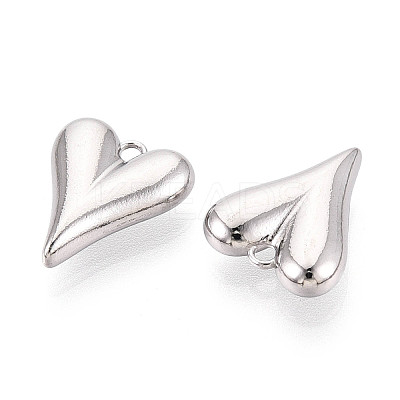304 Stainless Steel Charms LS-STAS-T065-81P-1