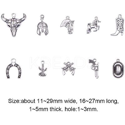 Western Charms Tibetan Style Alloy Pendants TIBEP-PH0001-05AS-1