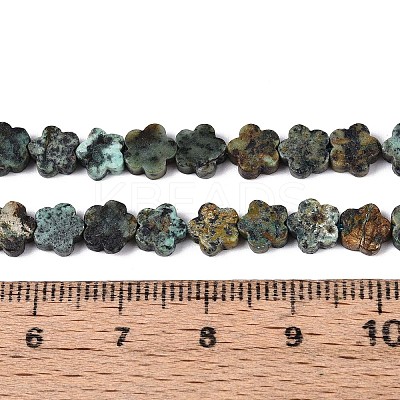 Natural African Turquoise(Jasper) Beads Strands LS-G-N257-24A-05-1