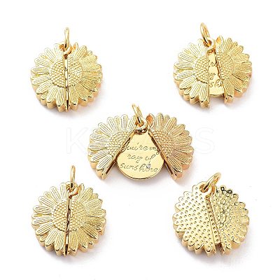 Brass Micro Pave Clear Cubic Zirconia Openable Pendants LS-KK-D004-14G-1