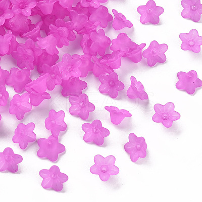 Transparent Acrylic Beads PL554-17-1