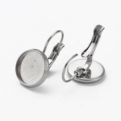 Tarnish Resistant 304 Stainless Steel Leverback Earring Findings LS-STAS-L253-005D-P-1