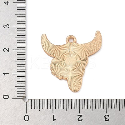 Western Cowboy Theme Alloy Enamel Pendants ENAM-A008-22KCG-01-1