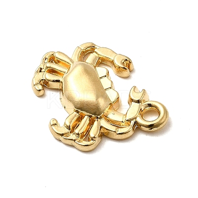 304 Stainless Steel Pendants STAS-B103-02B-G-1