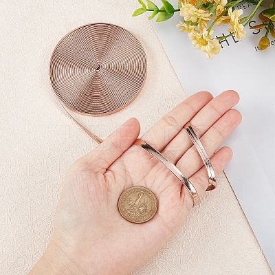 5M Flat Imitation Leather Cord LC-GF0001-02A-03-1