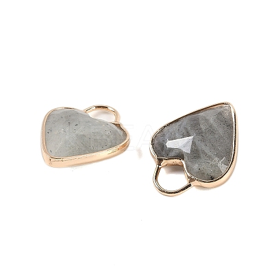 Natural Labradorite Faceted Pendans KK-L218-005G-03-1