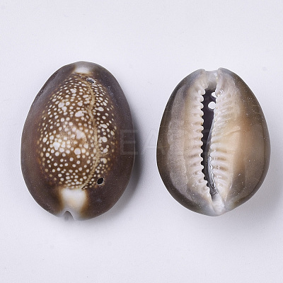Natural Cowrie Shell Links connectors SSHEL-N034-25-1