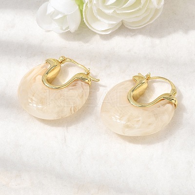 Brass Resin Hoop Earrings EJEW-P333-11C-G01-1