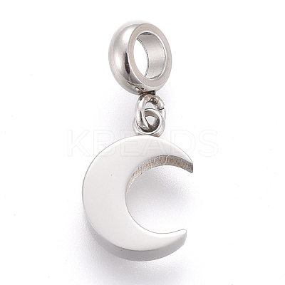 Non-Tarnish 304 Stainless Steel Charms STAS-F259-014P-1