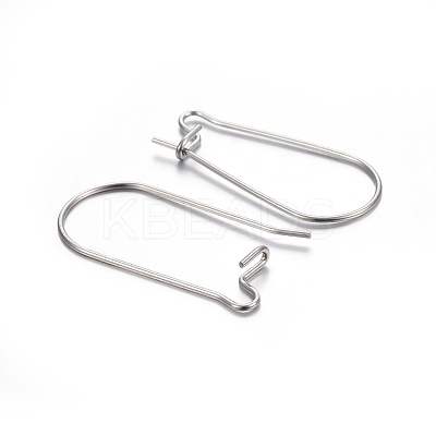 Tarnish Resistant 304 Stainless Steel Hoop Earring Findings LS-STAS-P223-01P-04-1