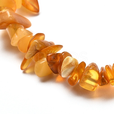 Natural Amber Chip Beads Stretch Bracelets Set for Parent and Kid BJEW-JB06819-1
