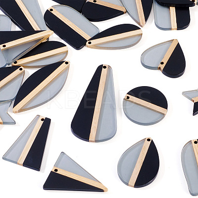 24Pcs 12 Styles Transparent Resin & Natural Wood Pendants RESI-TA0004-63-1