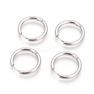 Tarnish Resistant 304 Stainless Steel Hoop Earrings X-EJEW-P177-P-06-1