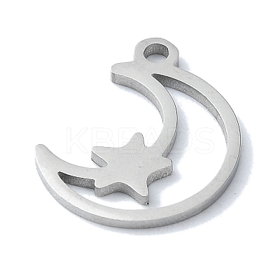 Non-Tarnish 304 Stainless Steel Charms STAS-C097-23P-1
